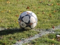 sv-laubusch-wittichenau-westlausitzer-fussball-verband-wfv-12