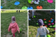 Collage_2026-04-17_11_45_38